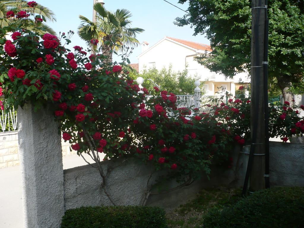 Rose Apartment Zadar Kamer foto